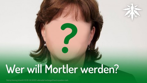 Wer will Mortler werden? | DHV-News #216