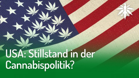 USA: Stillstand in der Cannabispolitik? | DHV-News #222