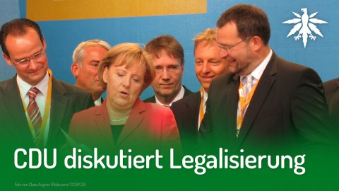 CDU diskutiert Legalisierung | DHV-News #224