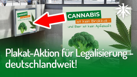Plakat-Aktion für Legalisierung – deutschlandweit! | DHV-Audio-News #266