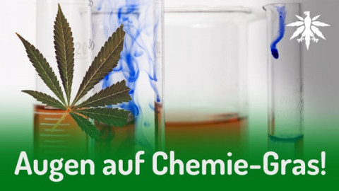 Augen auf Chemie-Gras! | DHV-Audio-News #277