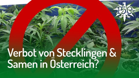 Verbot von Stecklingen in Österreich? | DHV-Audio-News #150