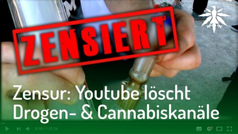 Zensur: Youtube löscht Drogen- und Cannabiskanäle | DHV-Audio-News #162