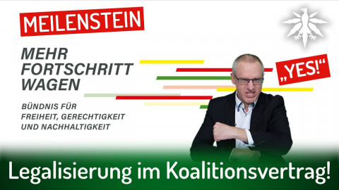 Meilenstein: Legalisierung im Koalitionsvertrag! | DHV-Audio-News #317