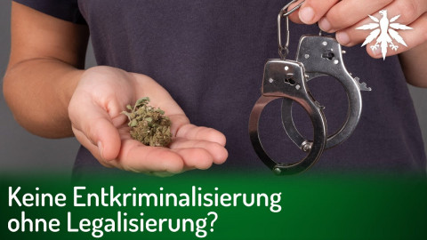 Keine Entkriminalisierung ohne Legalisierung? | DHV-Audio-News #328