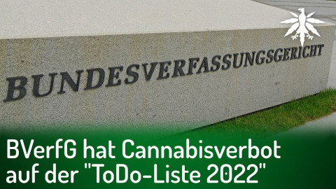 BVerfG hat Cannabisverbot auf der „ToDo-Liste 2022“ | DHV-Audio-News #329