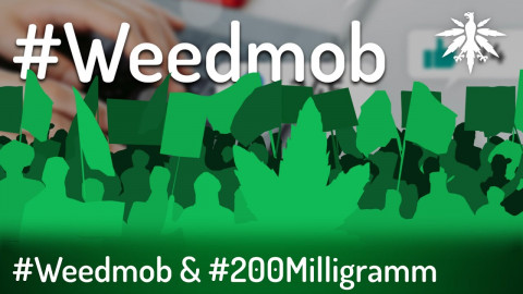 #weedmob & #200Milligramm | DHV-Audio-News #326