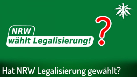 Hat NRW Legalisierung gewählt? | DHV-Audio-News #339
