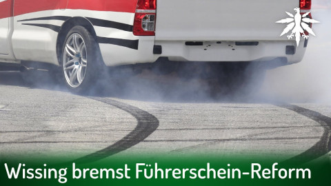 Wissing bremst Führerschein-Reform | DHV-Audio-News #351