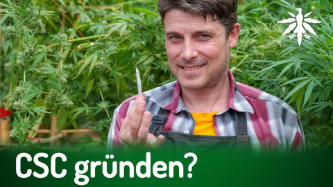 CSC gründen? | DHV-Audio-News #381