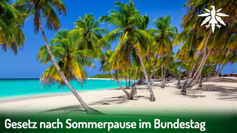 Gesetz nach Sommerpause im Bundestag | DHV-Audio-News #382