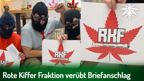 Rote Kiffer Fraktion (RKF) verübt Briefanschlag | DHV-Audio-News #383