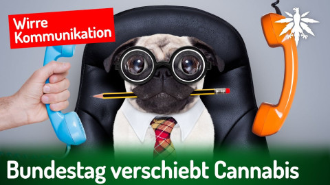 Bundestag verschiebt Cannabis | DHV-Audio-News #397