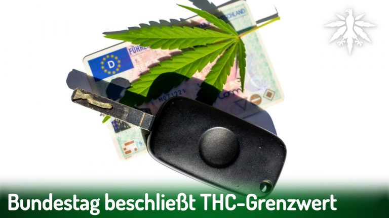 Bundestag beschließt THC-Grentzwert | DHV-News #423