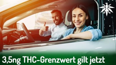 3,5ng THC-Grenzwert gilt jetzt | DHV-News # 433