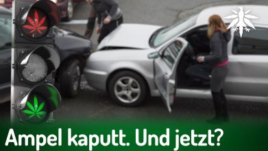 Ampel kaputt. Und jetzt? | DHV-News # 443