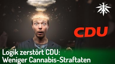 Logik zerstört CDU: Weniger Cannabis-Straftaten | DHV-News # 447